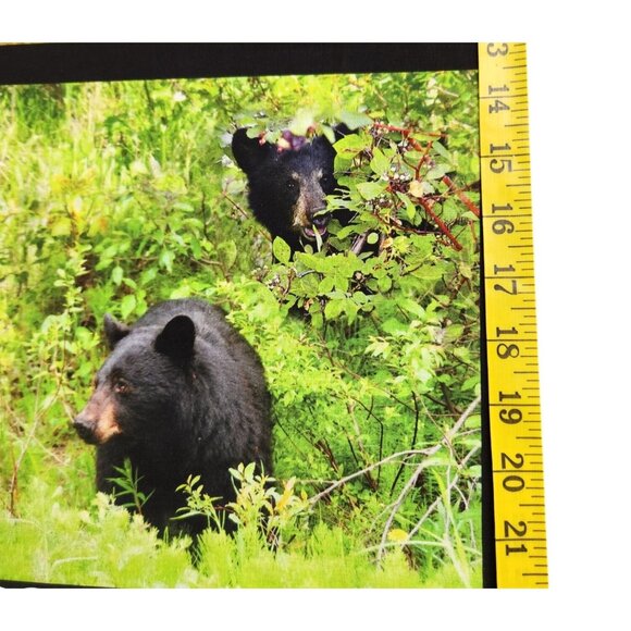 Natures Wonder Scenic Wildlife Fabric Panel 24"x44" By Studio RK For Robert Kauf - Picture 7 of 14